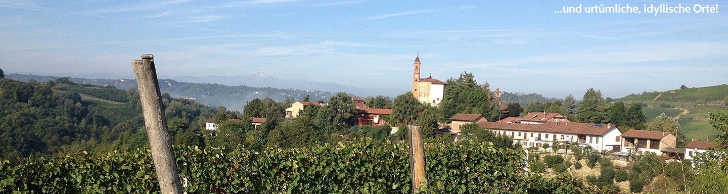Blick über einen Weinberg auf ein typisches Dorf im Piemont mit einer auf einer Anhöhe stehenden Kirche, Italien