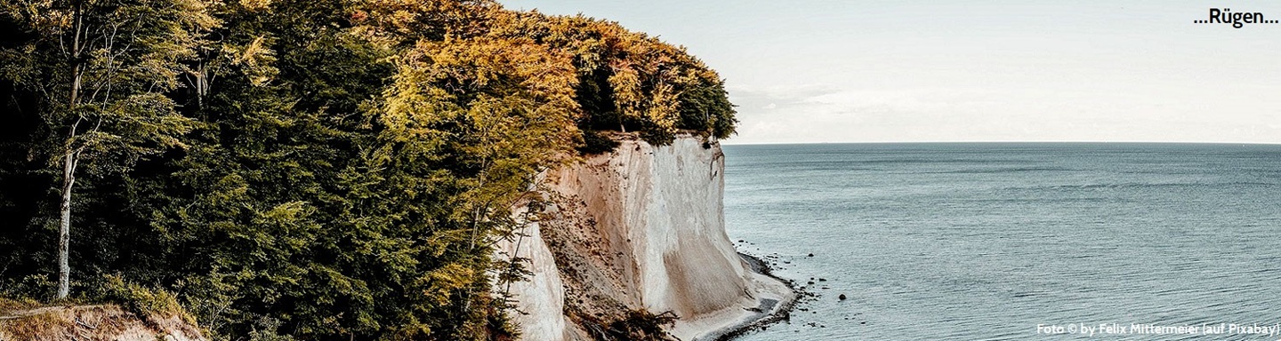 Blick auf die mit Bäumen bewachsene Steilküste aus Kreidefelsen auf der Insel Rügen