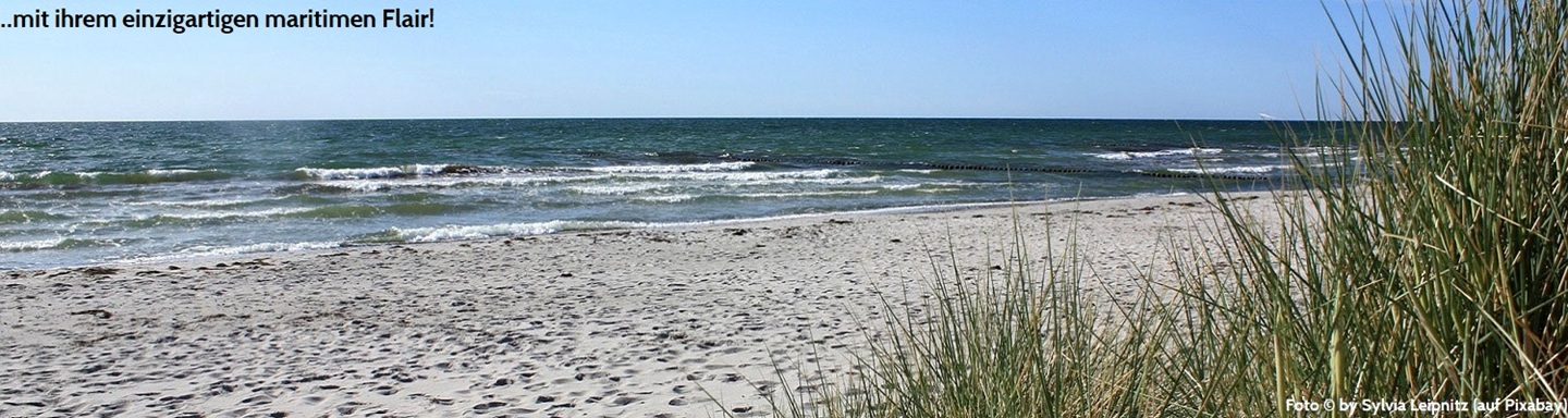 Strand mit Strandgras und Meer auf Hiddensee, Deutschland