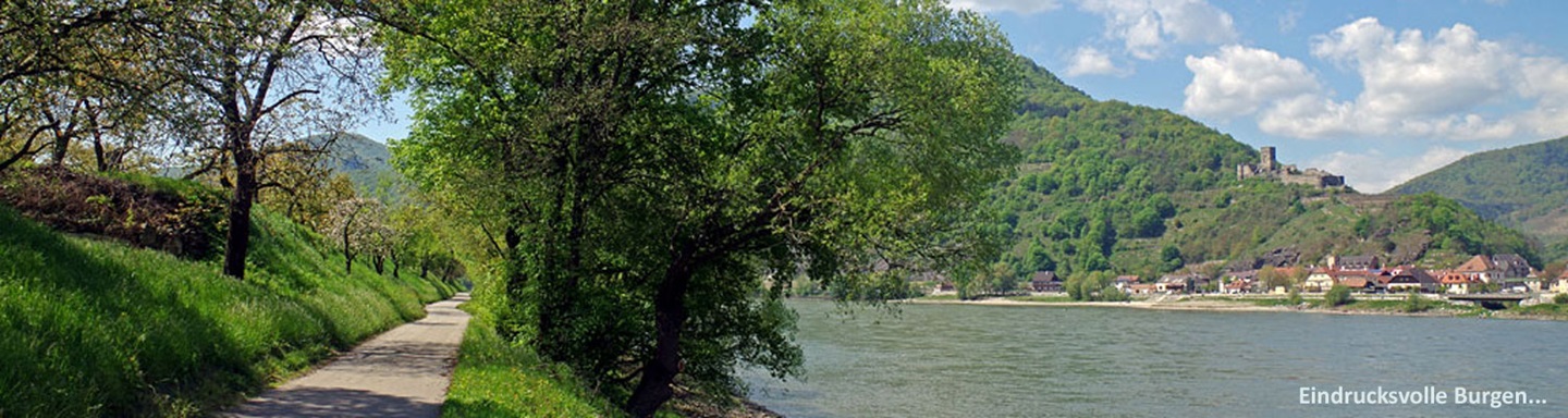 Burg vom Radweg durch die Wachau aus gesehen