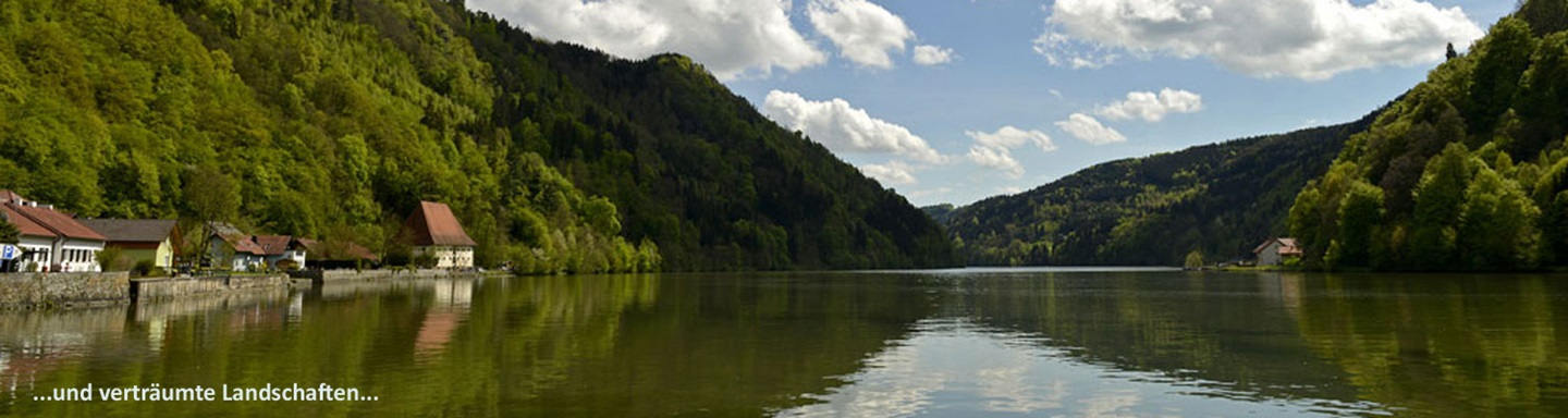Donaulandschaft mit Wäldern vom Schiff aus gesehen