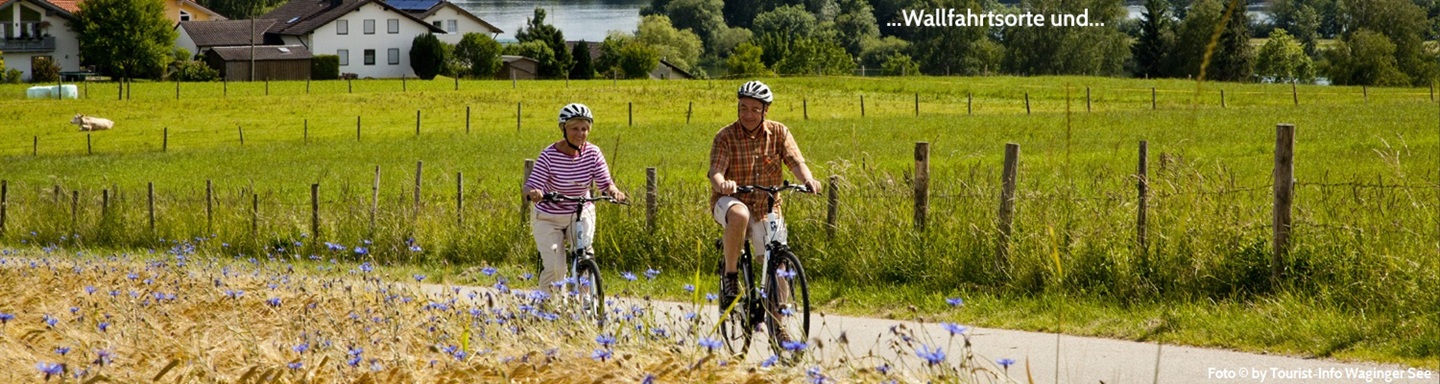 Radlerpaar fährt auf einer Straße an Weiden und einem Feld mit blau blühenden Blüten vorbei