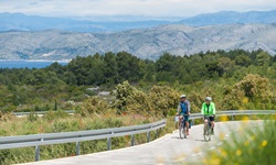 Zwei Radfahrer radeln auf einer asphaltierten Straße nebeneinander über die Insel Hvar. Im Bildhintergrund sind das Meer und eine Bergkette zu erkennen.