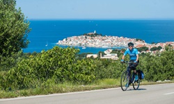 Ein Trekkingradler auf einer asphaltierten Radstrecke bei Pakostan in Dalmatien.
