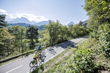 Zwei Radler sind, umgeben von Bäumen und einer eindrucksvollen Bergkulisse, auf dem Alpe-Adria-Radweg unterwegs.