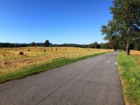 Blick auf einen asphaltierten Radweg auf der Radreise von Prag nach Wien, links davon eine abgemähte Wiese mit Heuballen
