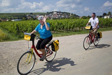 Zwei Radler - eine Frau und ein Mann - fahren auf einem asphaltierten Radweg an einem Weinberg vorbei.