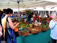 Gut besuchter Markt in Udine