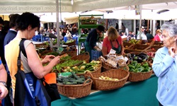 Gut besuchter Markt in Udine