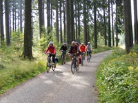 Eine Radlergruppe durchquert einen lichten Abschnitt des Schwarzwaldes.