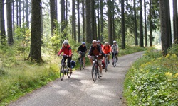 Eine Radlergruppe durchquert einen lichten Abschnitt des Schwarzwaldes.