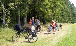 Eine Radlergruppe macht an einem Waldrand im Schwarzwald Pause.