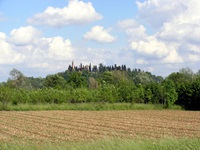 Blick über ein Feld hinauf zu einer Kirche im Wald in Venetien