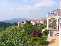 Mediterrane Häuser auf einem Weinberg in Venetien
