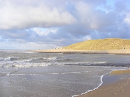 Blick auf den Strand und die Dünenlandschaft am Ijsselmeer