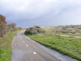 Radweg durch die Dünen in den Niederlanden