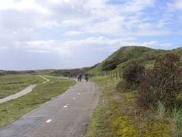 Radfahrer auf einem Radweg in der Fauna am Ijsselmeer