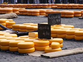 Zahlreiche Gouda-Laibe auf einem Marktplatz