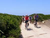 Vier Radler fahren auf einem von Macchia und Zwergpalmen gesäumten, sandig-schottrigen Radweg durch Südsardinien.