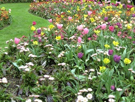 Bunt blühende Blumen in einem Park von Holland