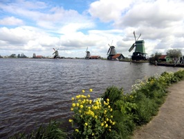 Blick auf historische Windmühlen am Ijsselmeer