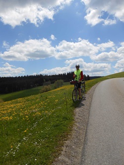 Ein Radler macht neben einer blühenden Wiese Pause und genießt den herrlichen Ausblick über den Südschwarzwald.