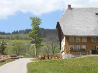 Baumstämme warten vor einem typischen Schwarzwaldhaus auf ihre Weiterverarbeitung.