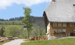 Baumstämme warten vor einem typischen Schwarzwaldhaus auf ihre Weiterverarbeitung.