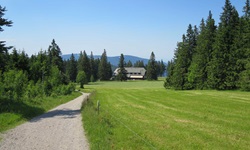 Einsam gelegene Höfe und tiefgrüne Nadelwälder erstrecken sich entlang der Radstrecke durch den Nordschwarzwald.