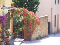 Wunderschöner Rosenbogen über einem Gartentor in einem italienischen Dorf.