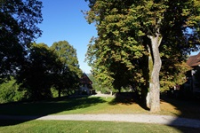 Bäume in einem Park in Baden-Würtembergs ältester Stadt Rottweil.