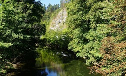 Der Neckar bei Rottweil.