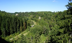 Der Schwarzwald bei Rottweil.