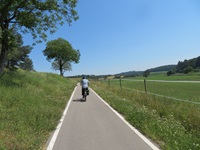 Ein Radfahrer fährt an einer Koppel auf dem Bodensee-Radweg vorbei