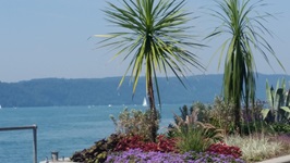 Blick über Palmen und Blumen über den Bodensee