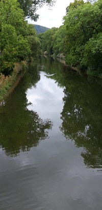 Blick auf die Donau