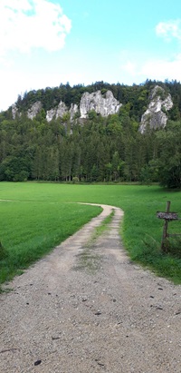 Blick auf den Radweg im wunderschönen Donautal mit den markanten Felsen