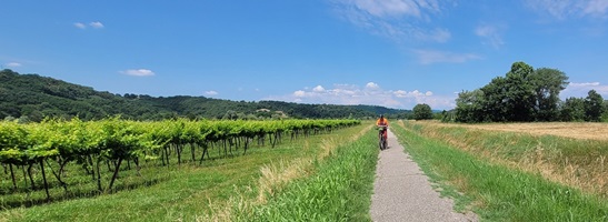 Ein Fahrradfahrer fährt auf dem Radweg von Bozen über Verona nach Venedig vorbei
