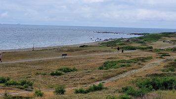 Blick über die Landschaft der Westküste in Südschweden