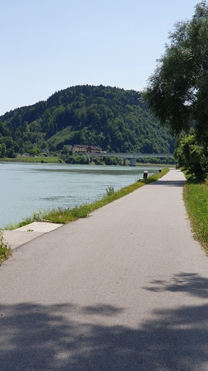 Blick auf den Donau-Radweg, die Donau und einen Berg