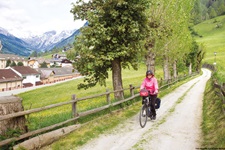 Eine Radfahrerin fährt auf einem weiß gekiesten Radweg an blühenden Viehweiden entlang.