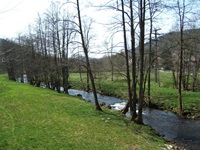 Der muntere Flusslauf der Kinzig schlängelt sich zwischen jungen Bäumen hindurch.