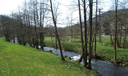 Der muntere Flusslauf der Kinzig schlängelt sich zwischen jungen Bäumen hindurch.