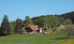 Unweit der europäischen Wasserscheide zwischen Rhein und Donau gelegener Schwarzwaldhof bei St. Georgen.