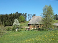 Ein idyllischer, einsam gelegener Schwarzwaldhof bei St. Georgen.