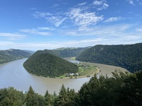 Blick auf die sommerliche Schlögener Schlinge im Donautal