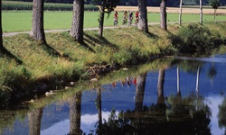 Der Aare-Radweg verläuft überwiegend direkt am Ufer seiner Namensgeberin entlang.