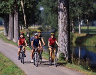 Vier Radler radeln auf dem gut asphaltierten Aare-Radweg am Fluss entlang.