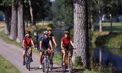 Vier Radler radeln auf dem gut asphaltierten Aare-Radweg am Fluss entlang.