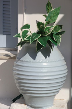 Impression der südlichen Griechischen Ägäis: Eine gräulichen Vase mit grüner Bepflanzung